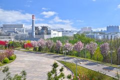河鋼集團唐鋼公司低壓控制柜、PLC控制柜、中控室系統(tǒng)